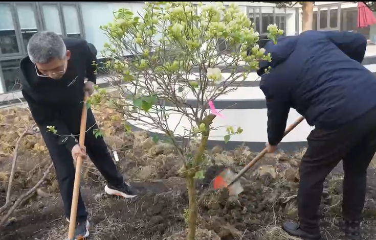 春風(fēng)十里，正植有你：希倍優(yōu)種下一抹綠意，讓夢(mèng)想發(fā)芽